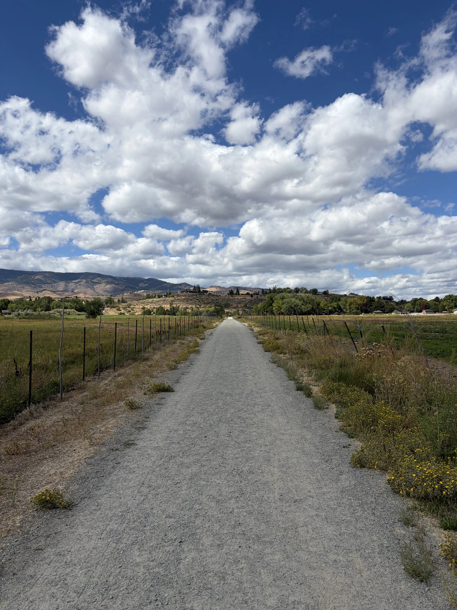 RUNRS trail path under big Nevada sky